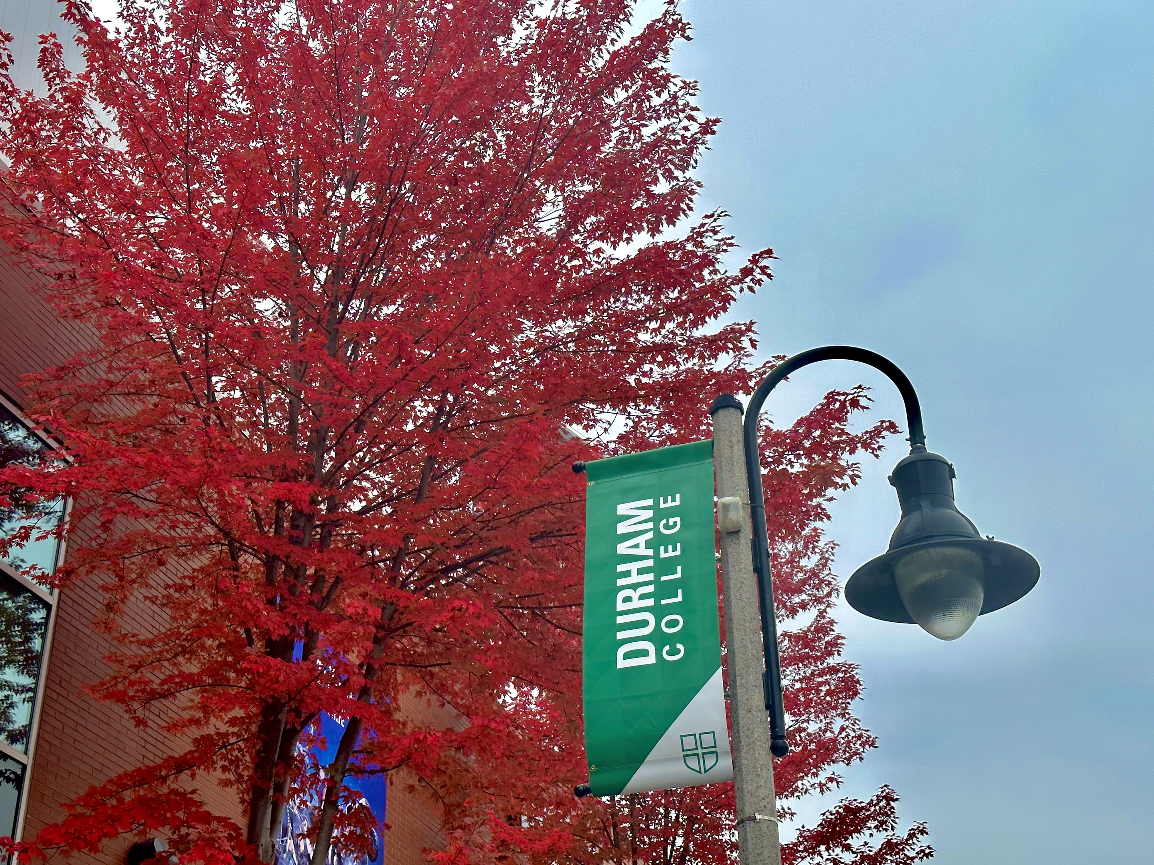 Durham College Downtown Oshawa Banner