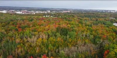 Northwood Business Park aerial