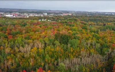 Northwood Business Park aerial