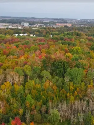 Northwood Business Park aerial
