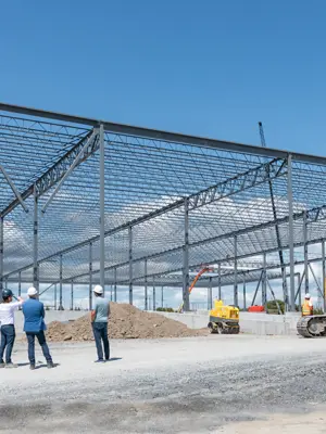 Panatonni development progress
